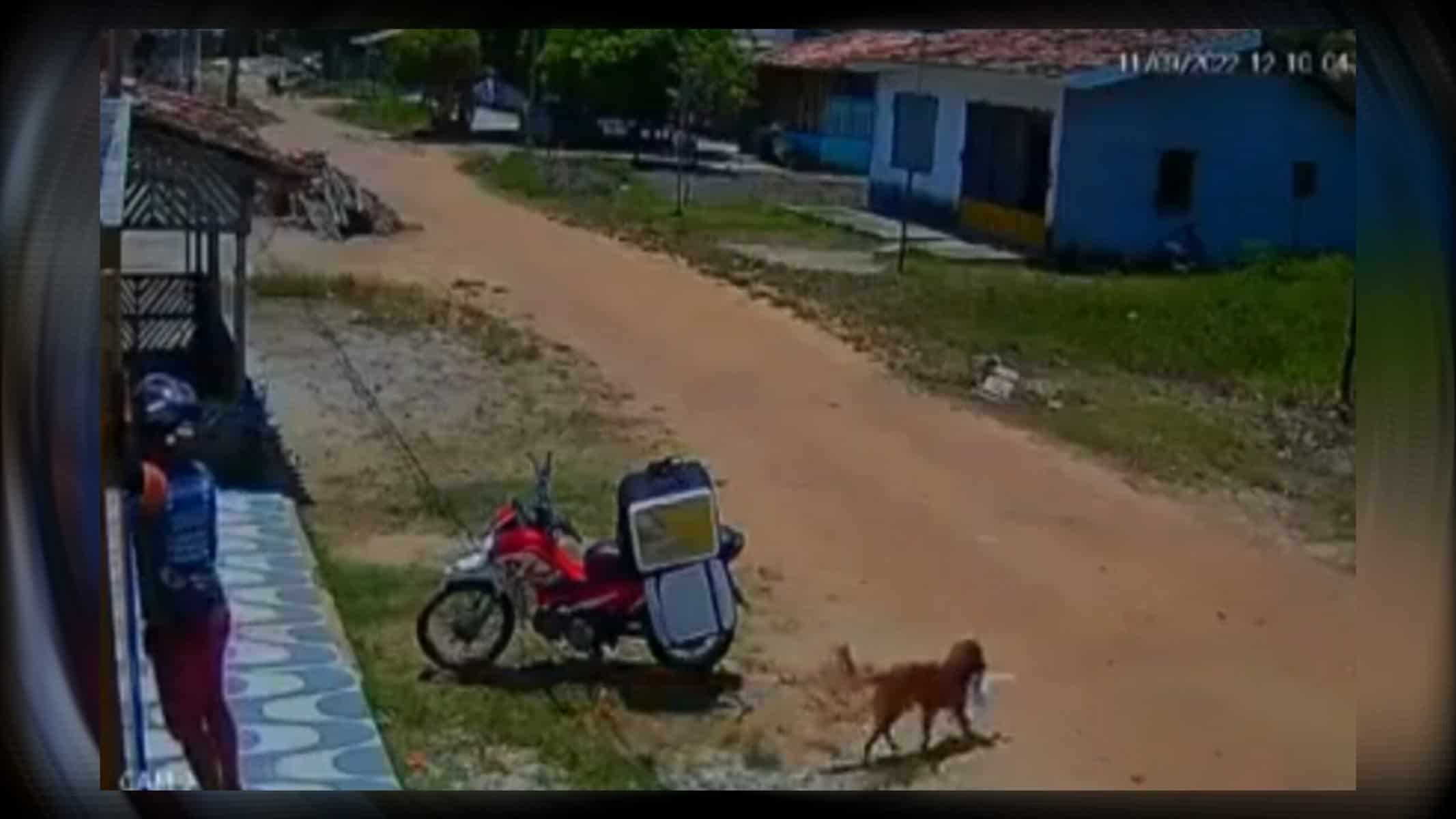 Picsart_22-09-15_15-19-22-059 Foto: Reprodução