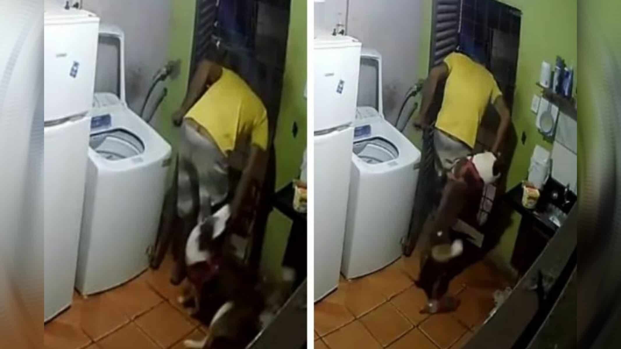 Picsart_22-09-16_15-25-18-193 (Foto: Montagem D24am / Reprodução)