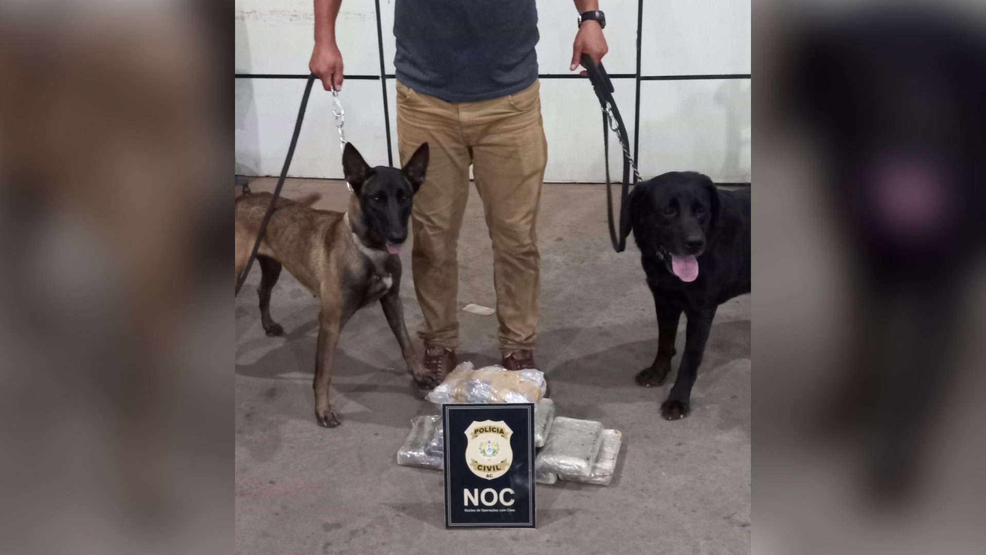 Picsart_22-09-19_10-46-42-165 Picsart_22-09-19_10-46-42-165