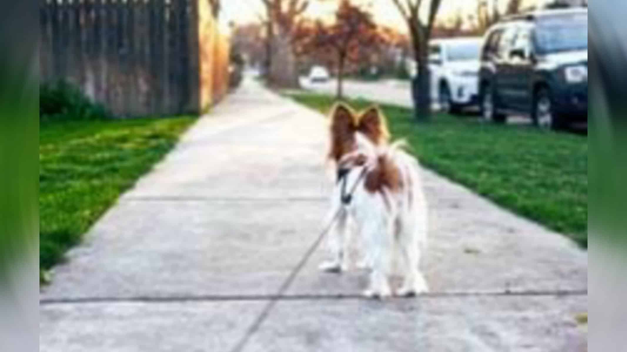 Picsart_22-09-21_18-43-53-172 Imagem Ilustrativa