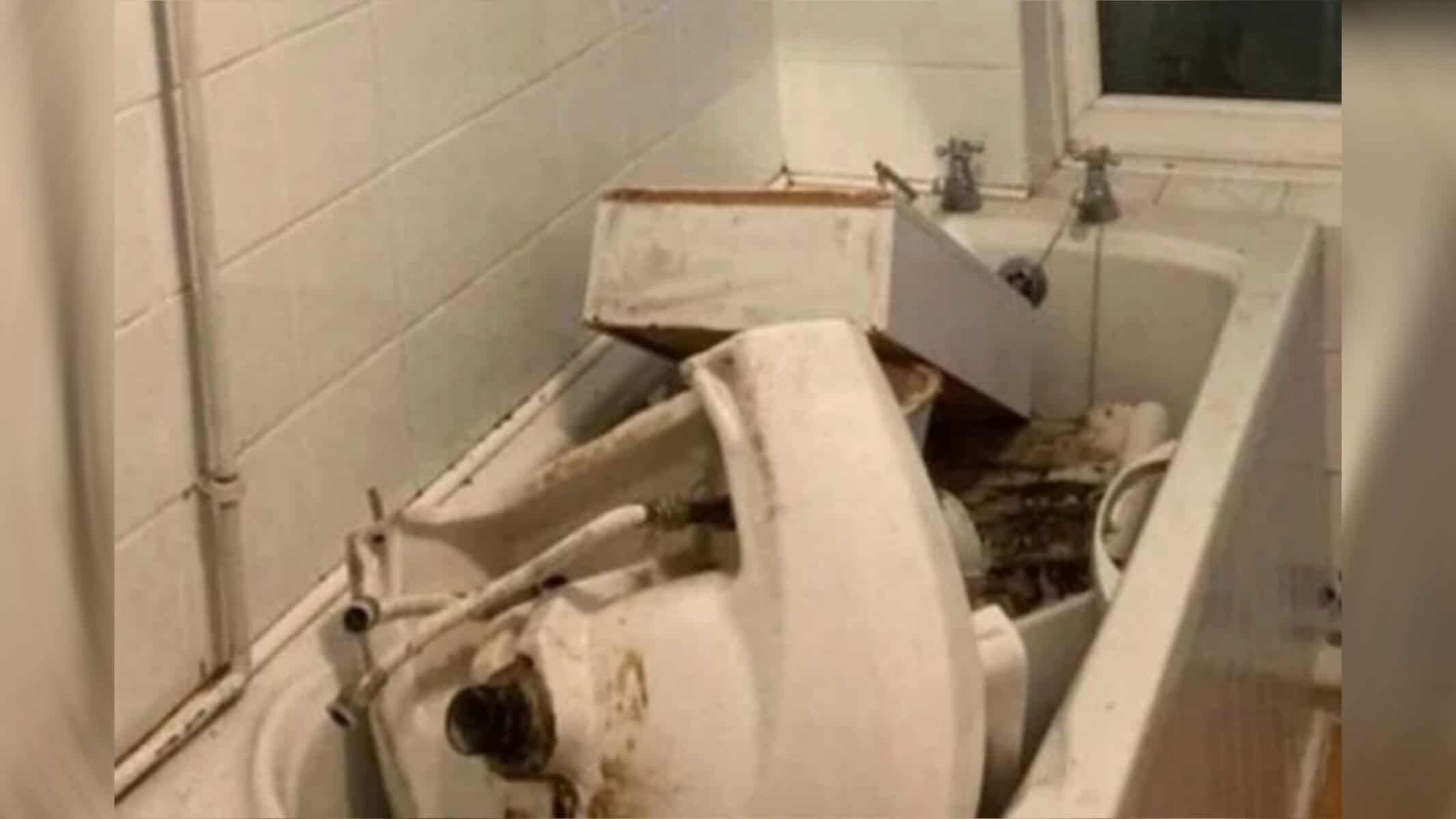 Que prejuízo!Reprodução