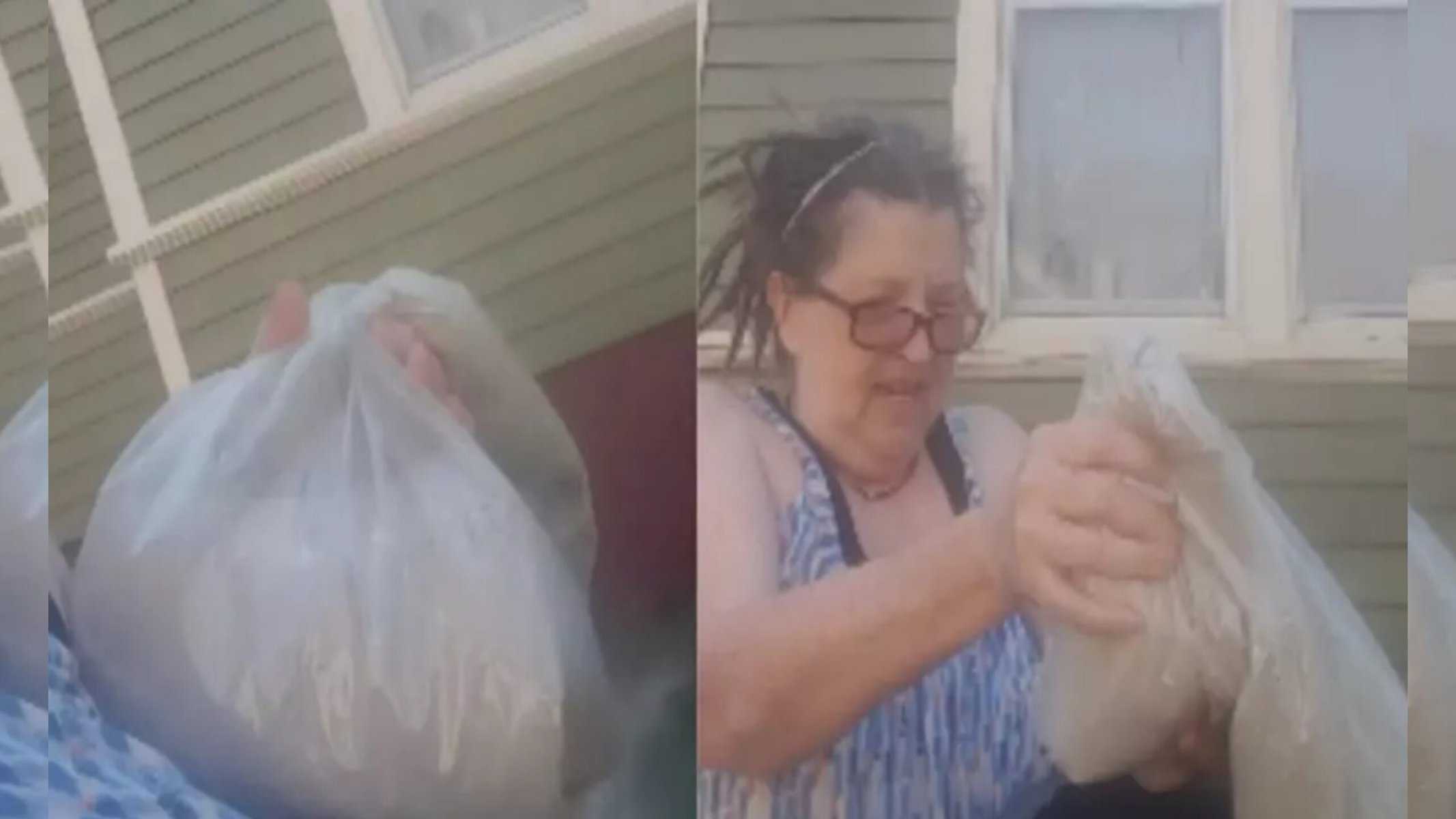 Picsart_22-09-26_20-46-36-107 Mulher joga cinzas do marido no lixo para se vingar e atitude viraliza; assista (Foto: Reprodução / Youtube)