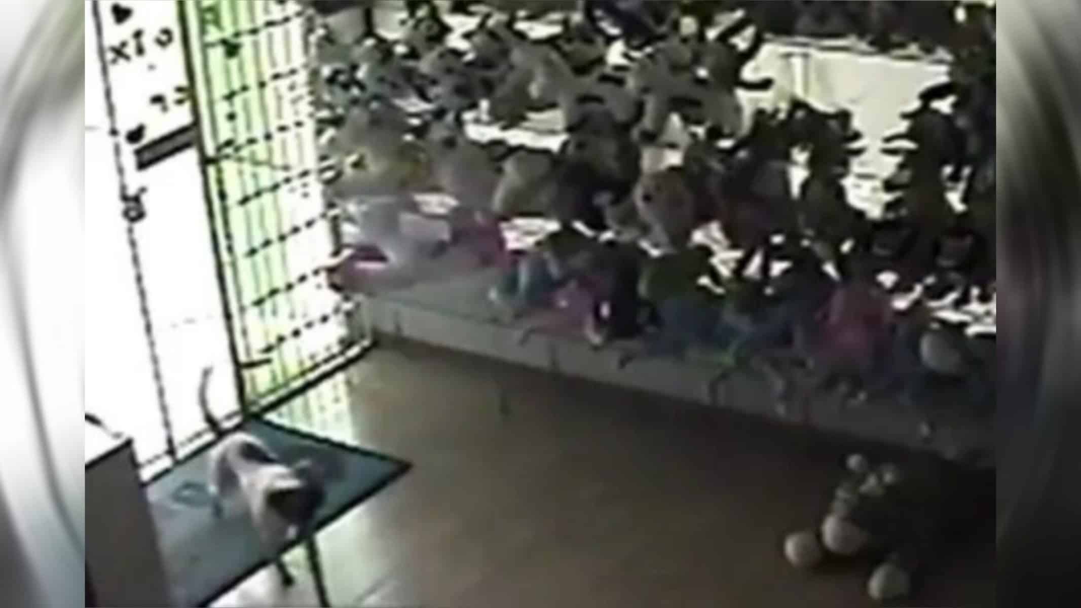 Picsart_22-09-28_19-13-38-650 Foto: Reprodução