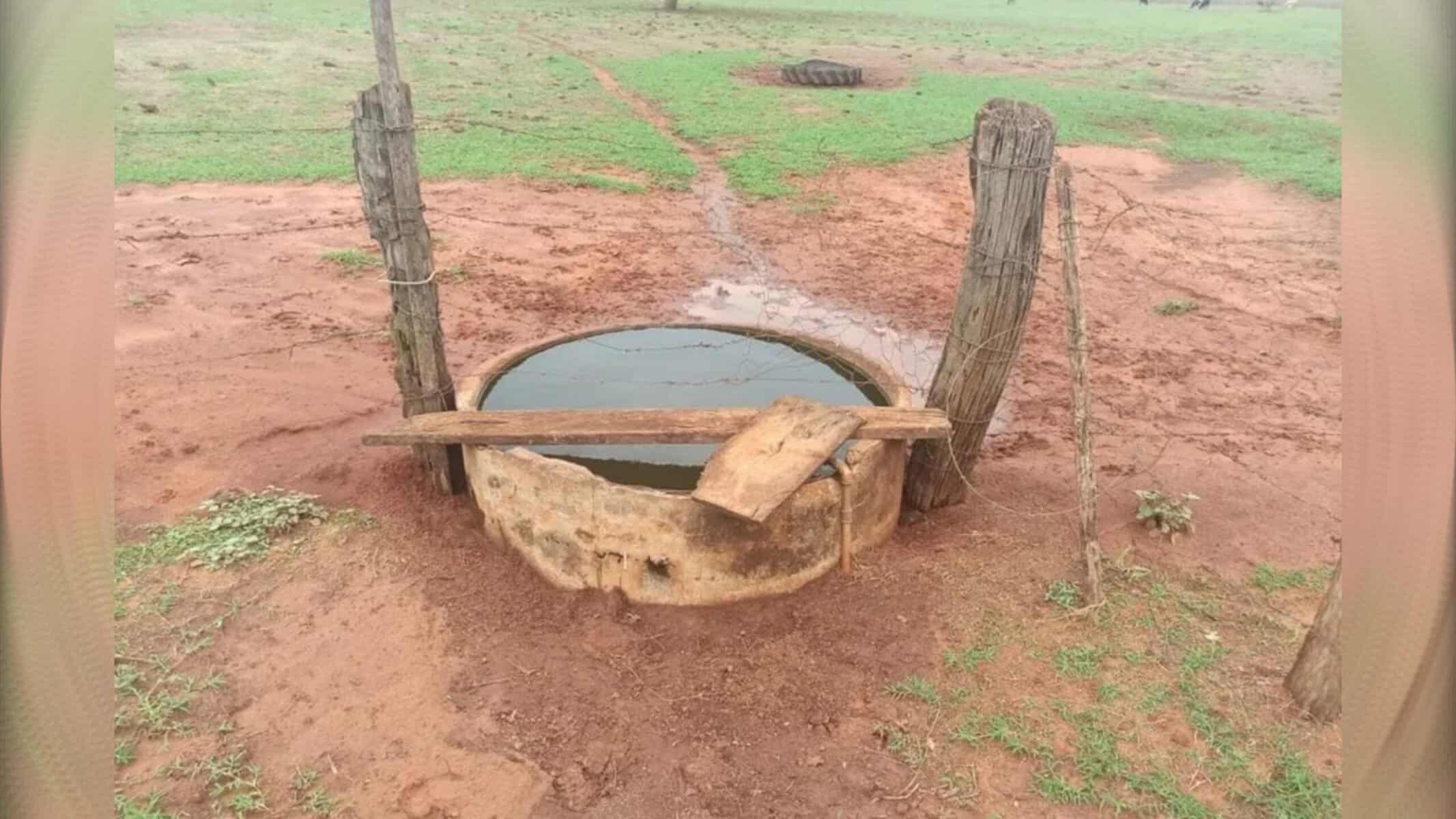 Picsart_22-09-29_15-15-46-752 Vítima se afogou em cocho enquanto brincava — Foto: Divulgação / Polícia Civil