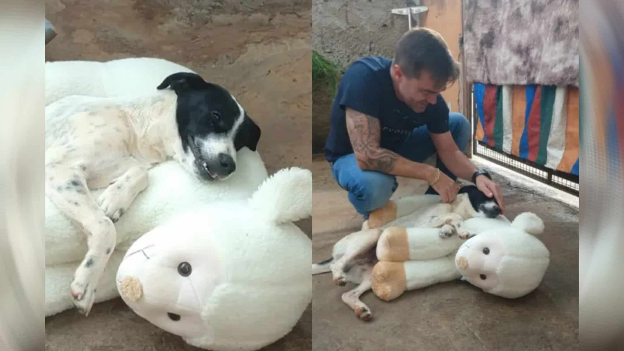 O cão ficou muito feliz com o presente (Foto: Reprodução/ Mayky Araújo/TV TEM)