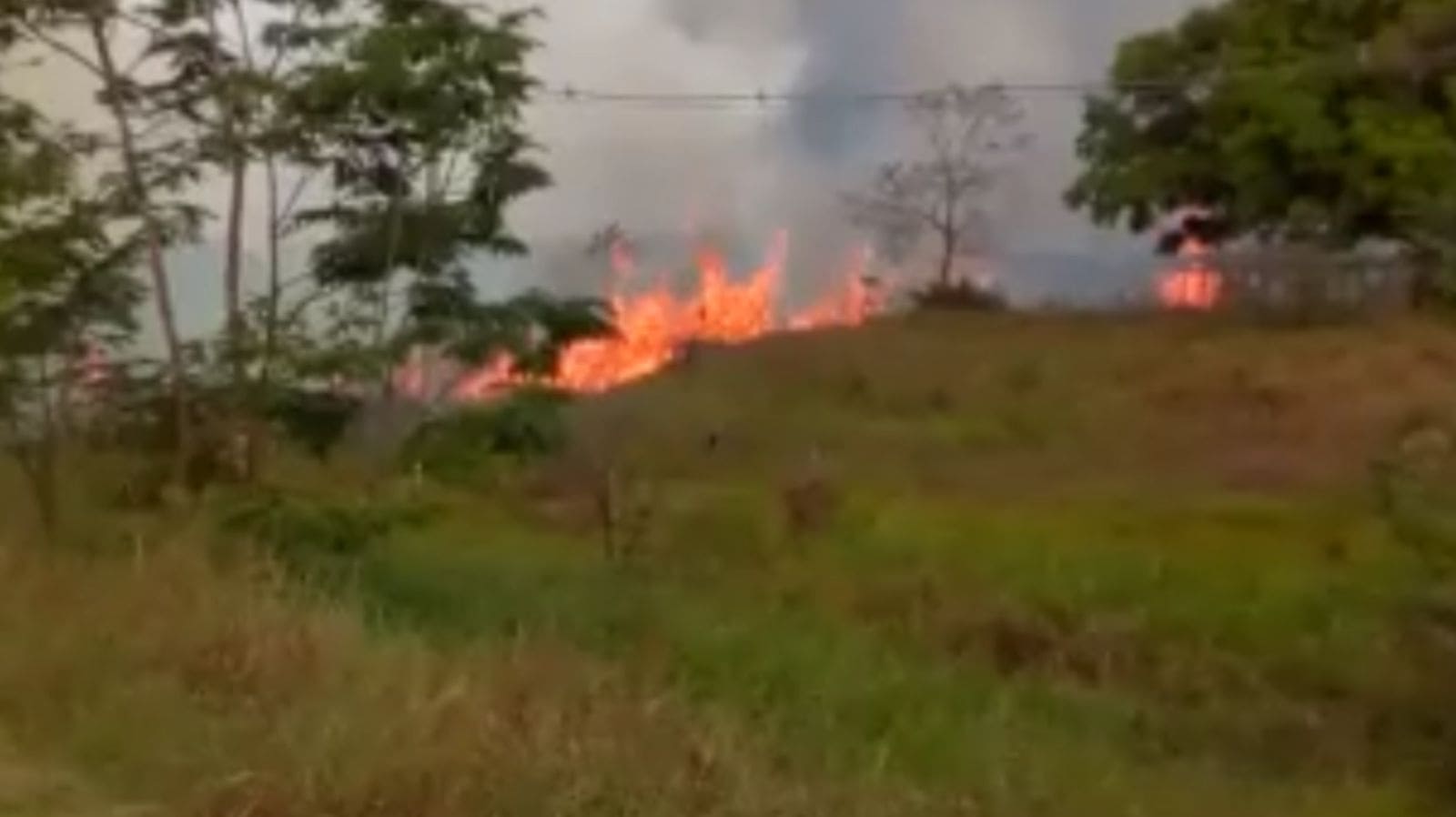 WhatsApp Image 2022-09-02 at 17.15.32 WhatsApp Image 2022-09-02 at 17.15.32