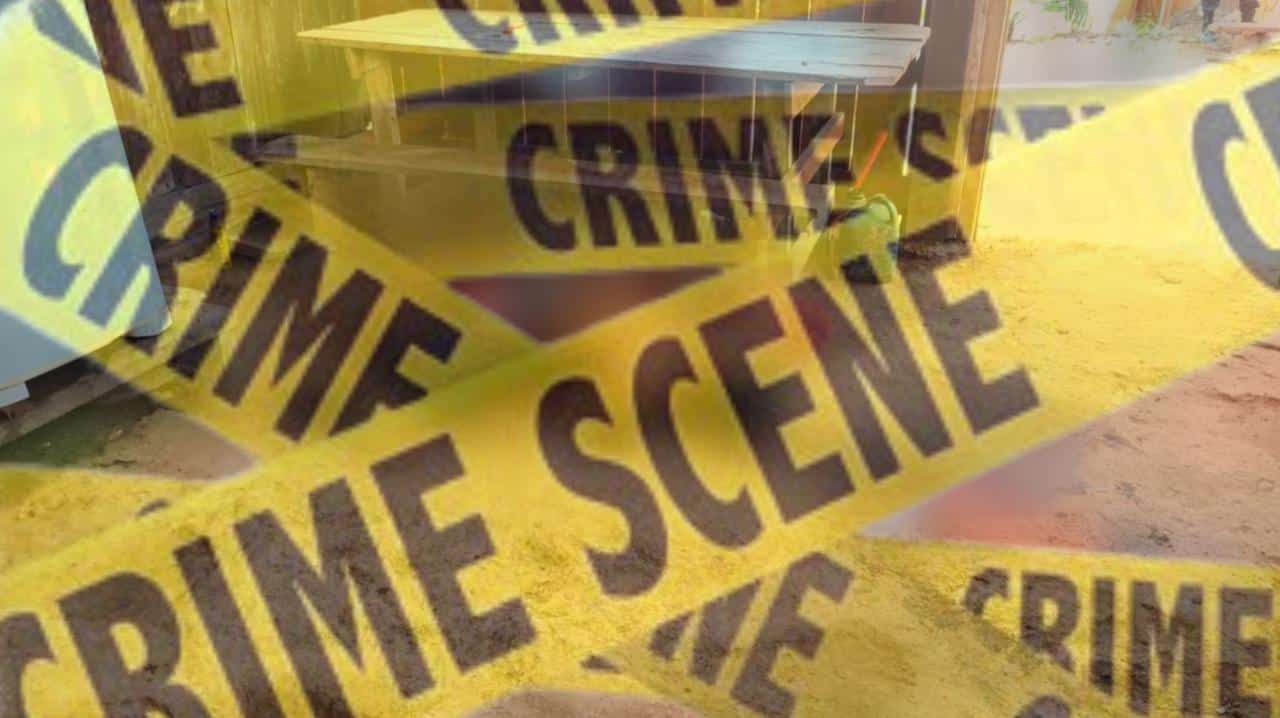 WhatsApp Image 2022-09-12 at 21.00.20 WhatsApp Image 2022-09-12 at 21.00.20