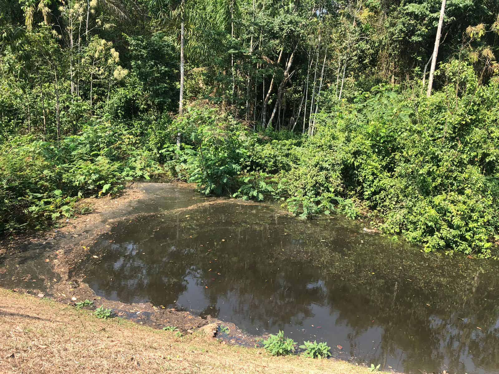 WhatsApp Image 2022-09-15 at 22.08.29 WhatsApp Image 2022-09-15 at 22.08.29