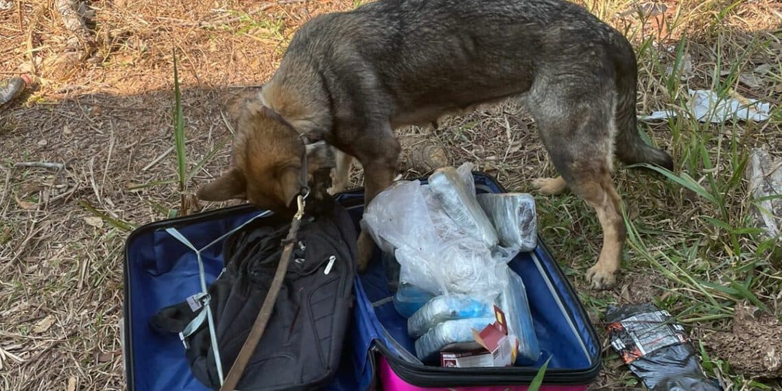 WhatsApp-Image-2022-09-21-at-15.39.16-1140×570 WhatsApp-Image-2022-09-21-at-15.39.16-1140x570