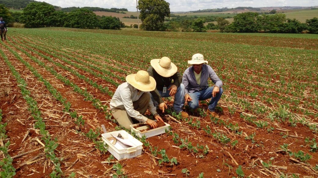 agriculturaconservacionista