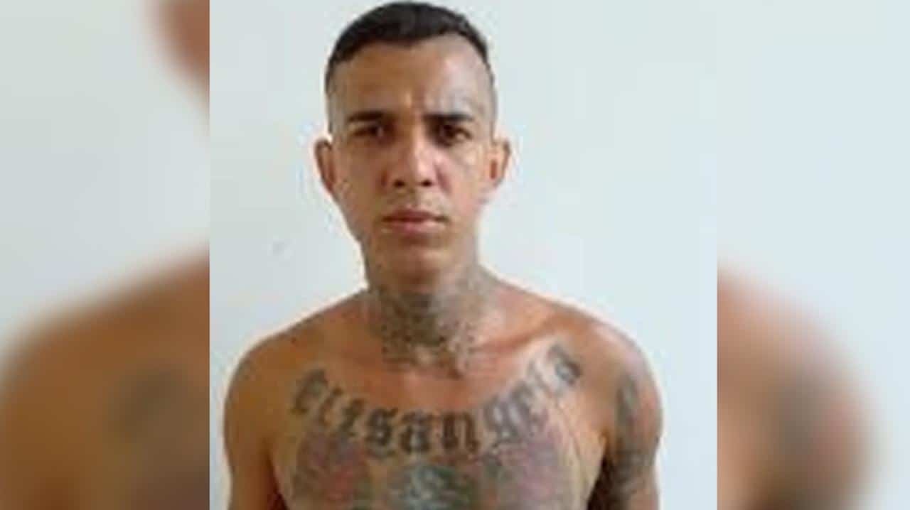 f0e42f2c-4b11-4bb0-9b7e-c5be97eaec37