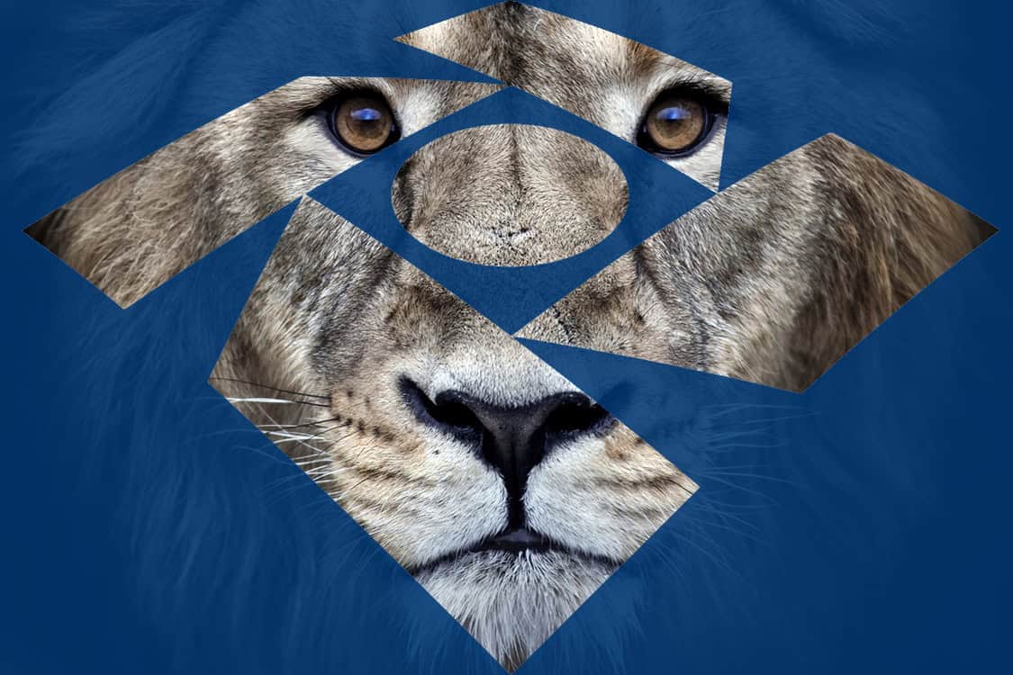 Psychedelic grunge style closeup portrait of an Asian lion. Psychedelic grunge style closeup portrait of an Asian lion, isolated on black background. King of beasts. Wild beauty of the biggest cat. The most dangerous and mighty predator of the world.