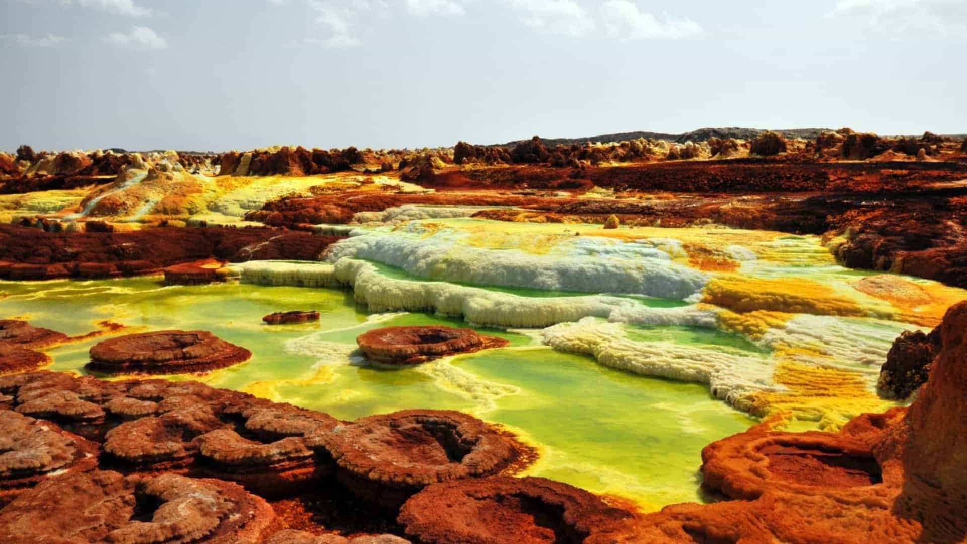 naom_5cc0444aaba08 naom_5cc0444aaba08