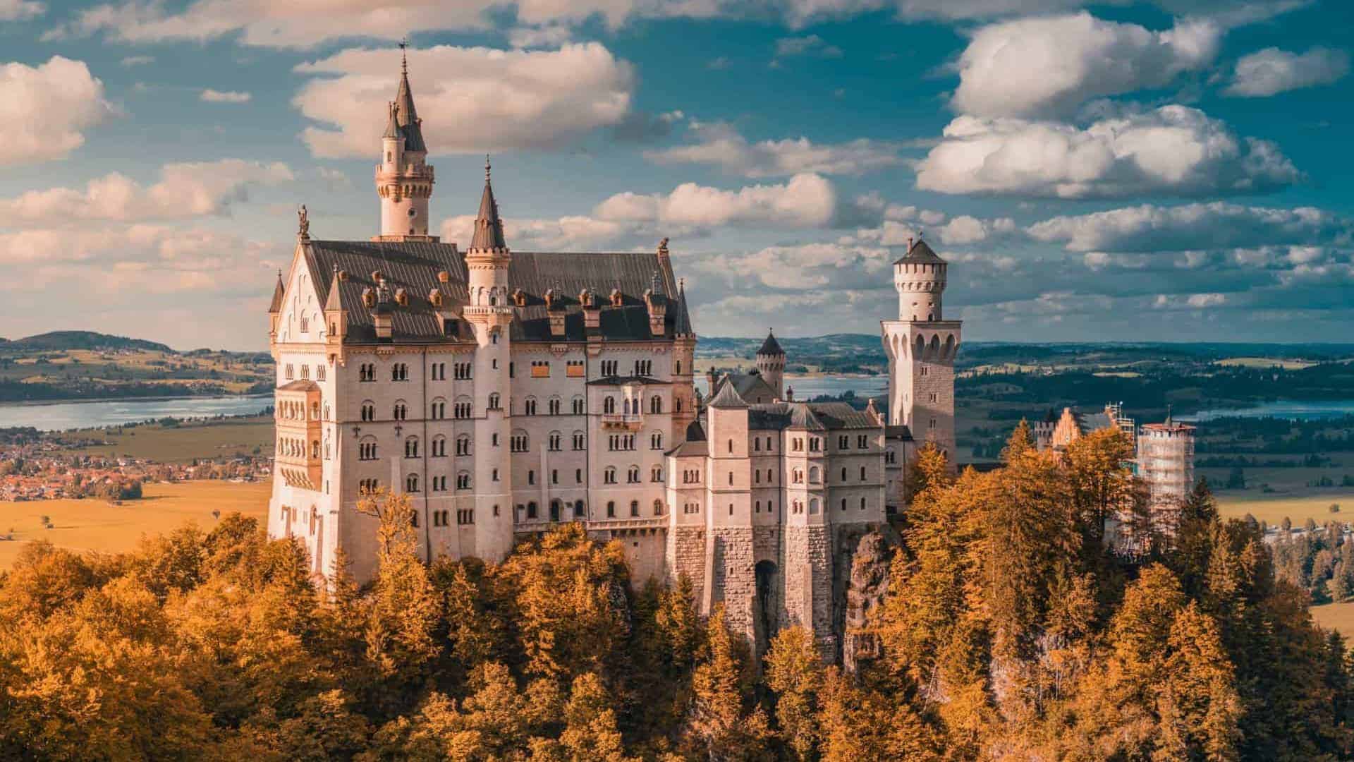 naom_611cd395659ec naom_611cd395659ec