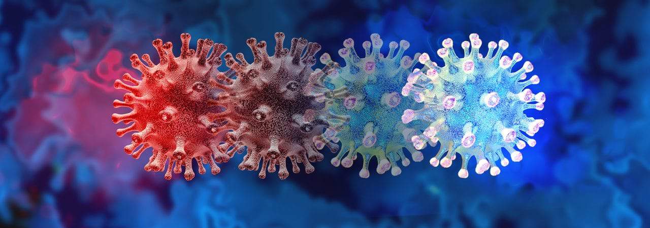 shutterstock_1905904402_Easy-Resize.com_-1280x450