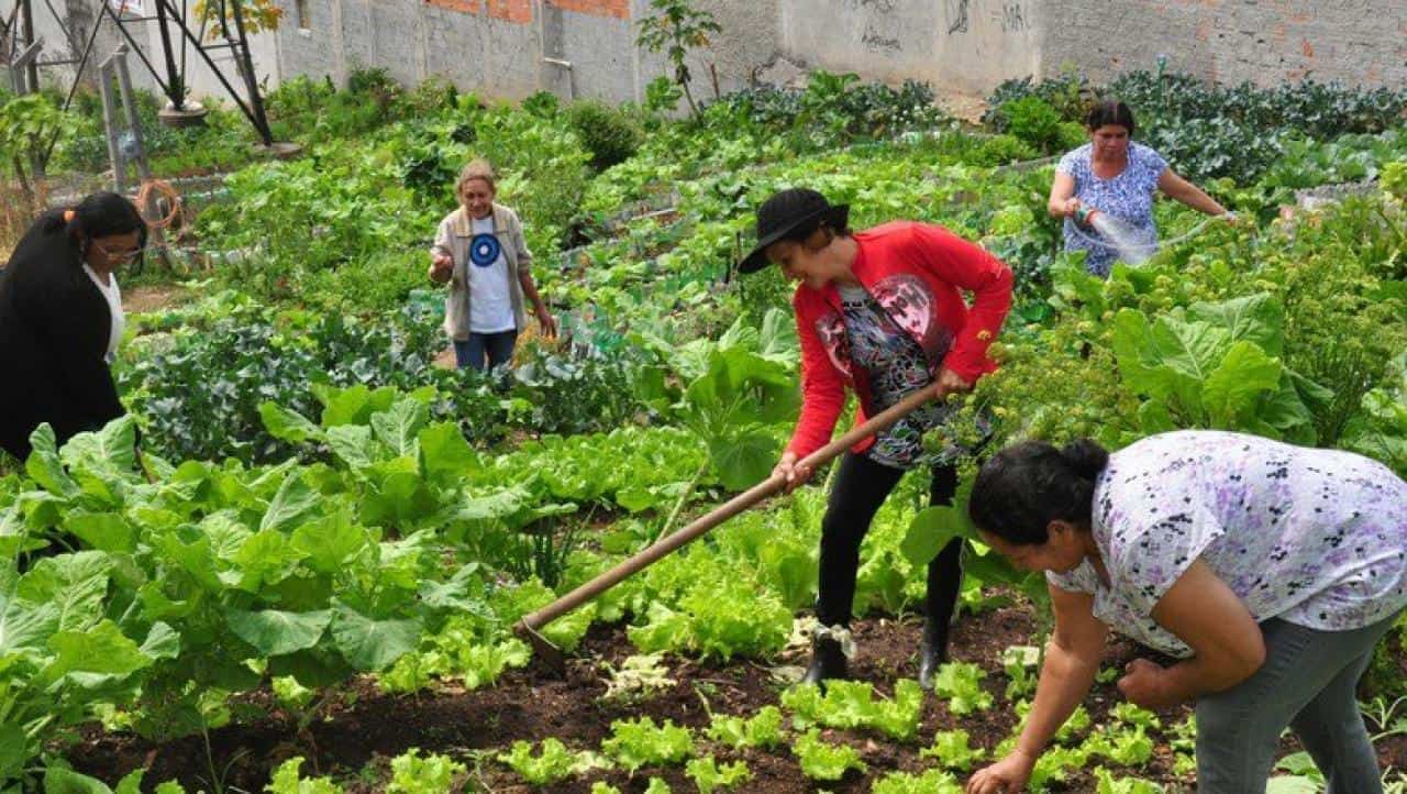 thumb__1280_0_0_0_auto thumb__1280_0_0_0_auto