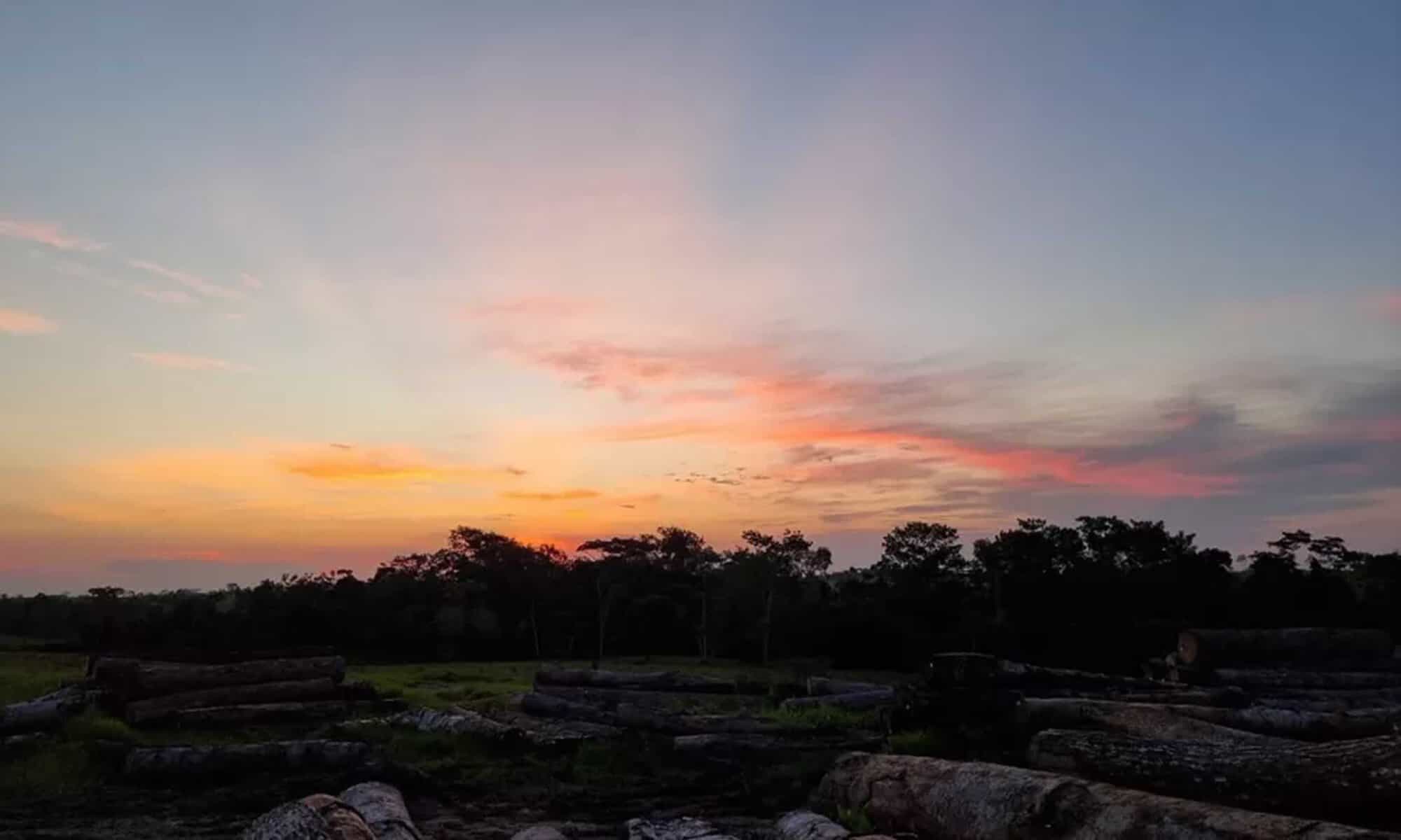 01 Foto: reprodução