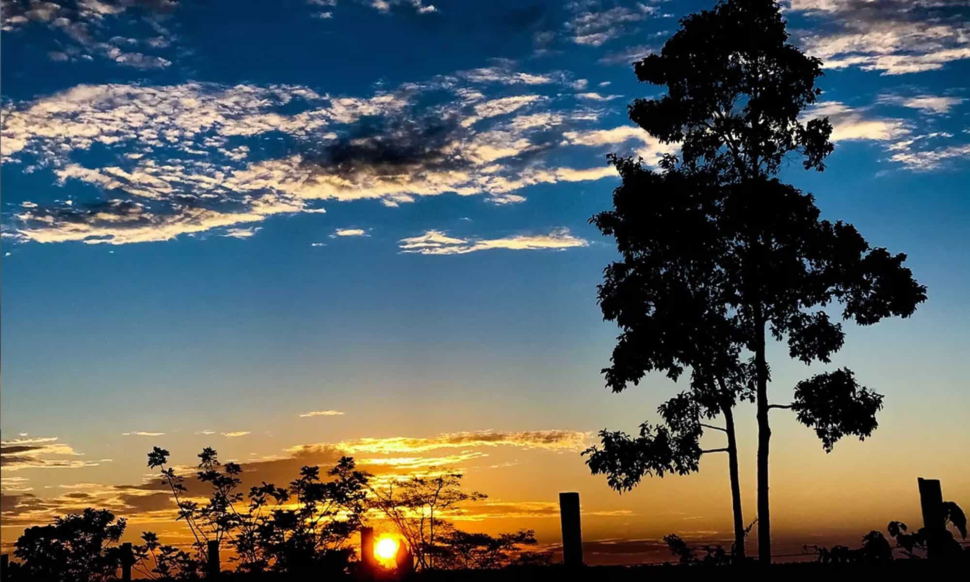 02 Foto: reprodução