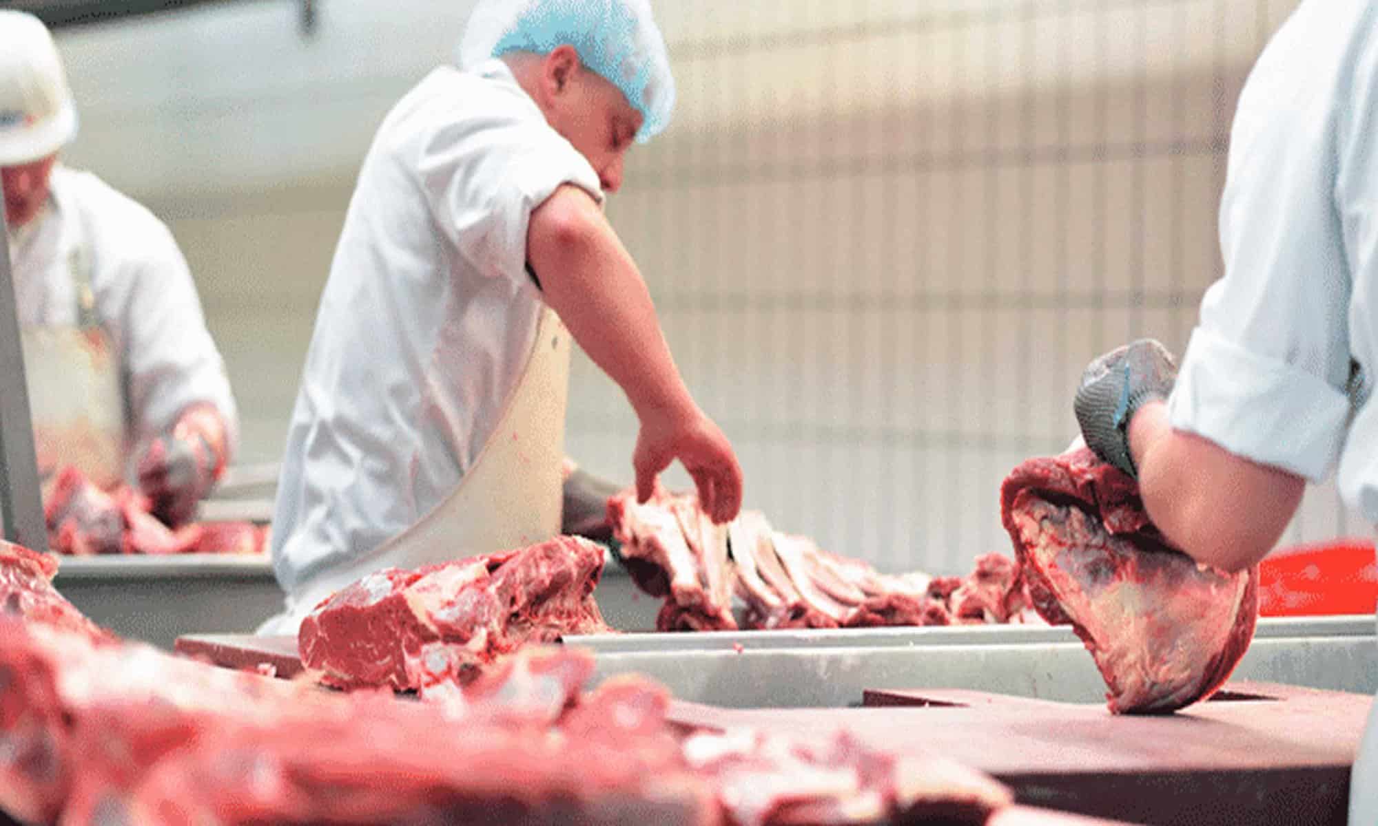 03a Foto: reprodução