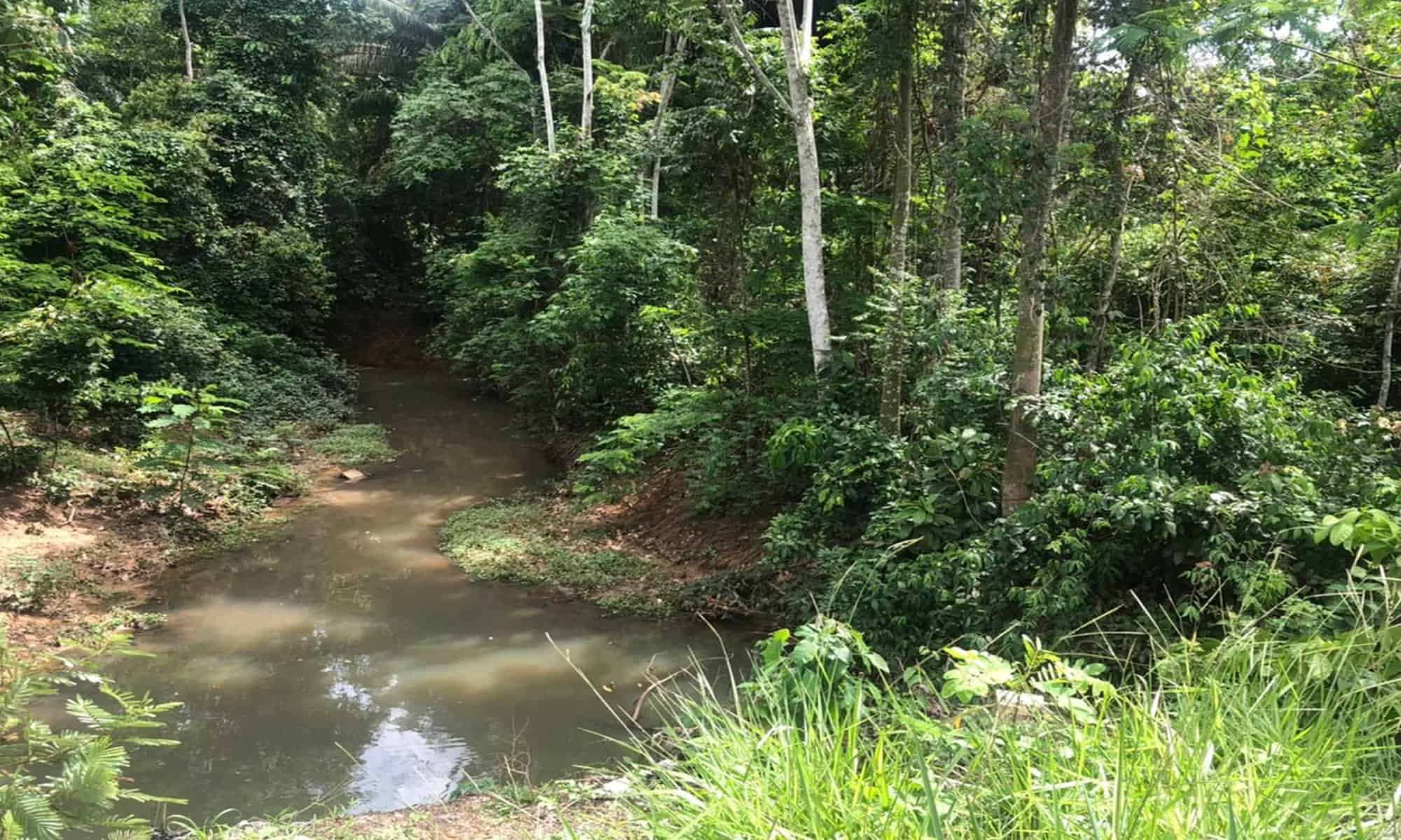 13 Foto: reprodução