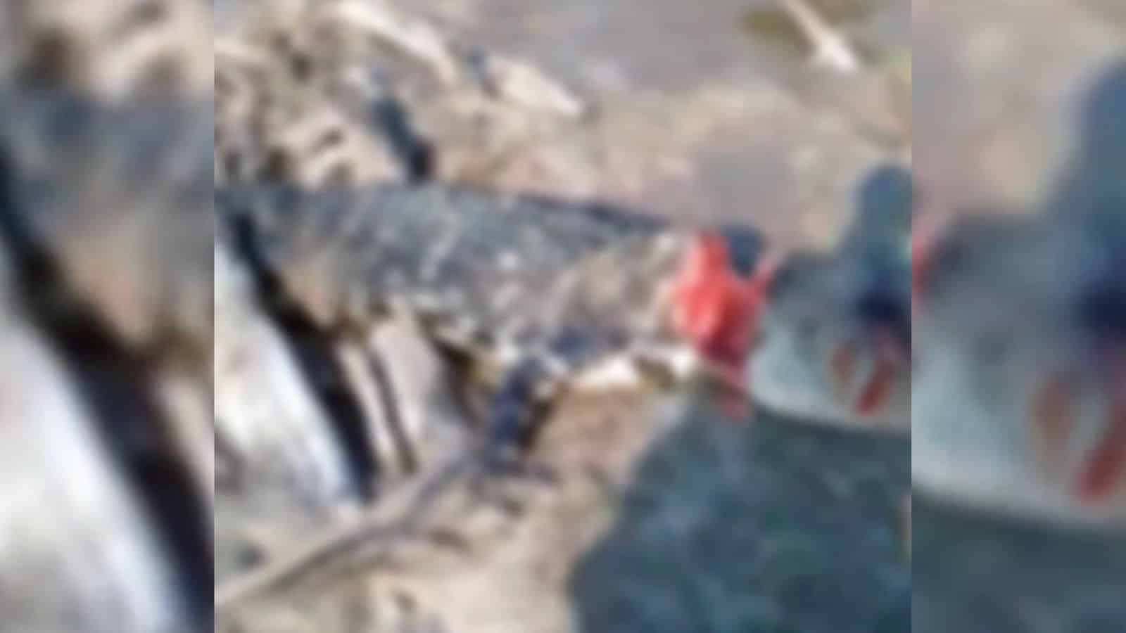 IMG-20221028-WA0050 Foto: Reprodução