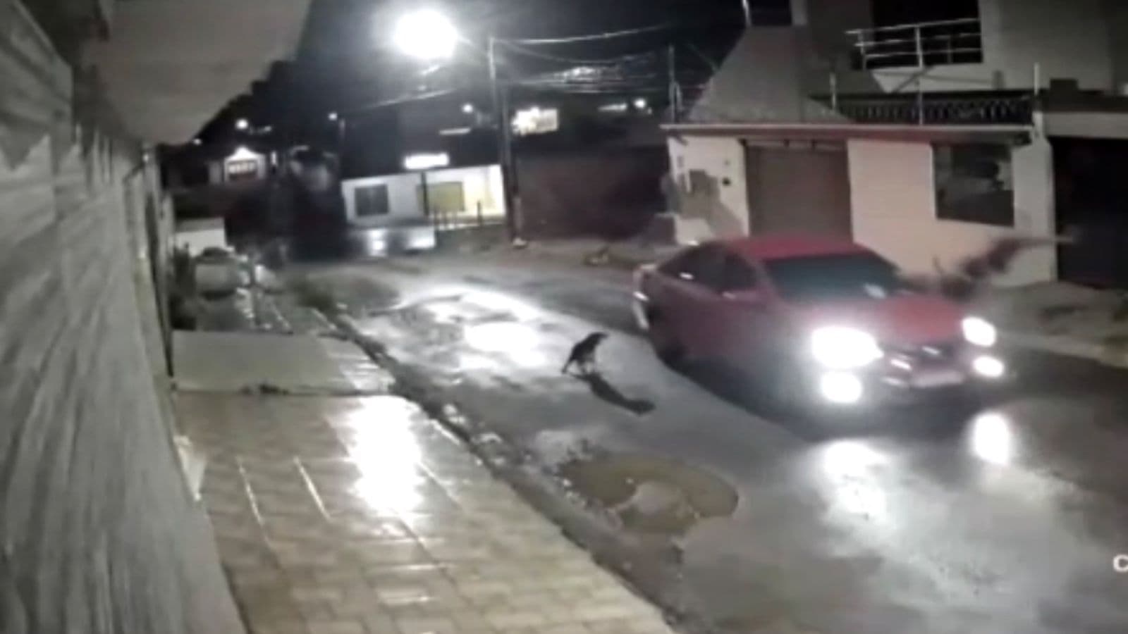 Imagem do WhatsApp de 2022-10-16 à(s) 13.44.44 Imagem do WhatsApp de 2022-10-16 à(s) 13.44.44