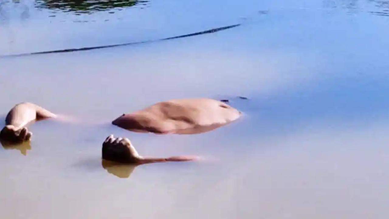 Imagem do WhatsApp de 2022-10-27 à(s) 21.14.29 Imagem do WhatsApp de 2022-10-27 à(s) 21.14.29