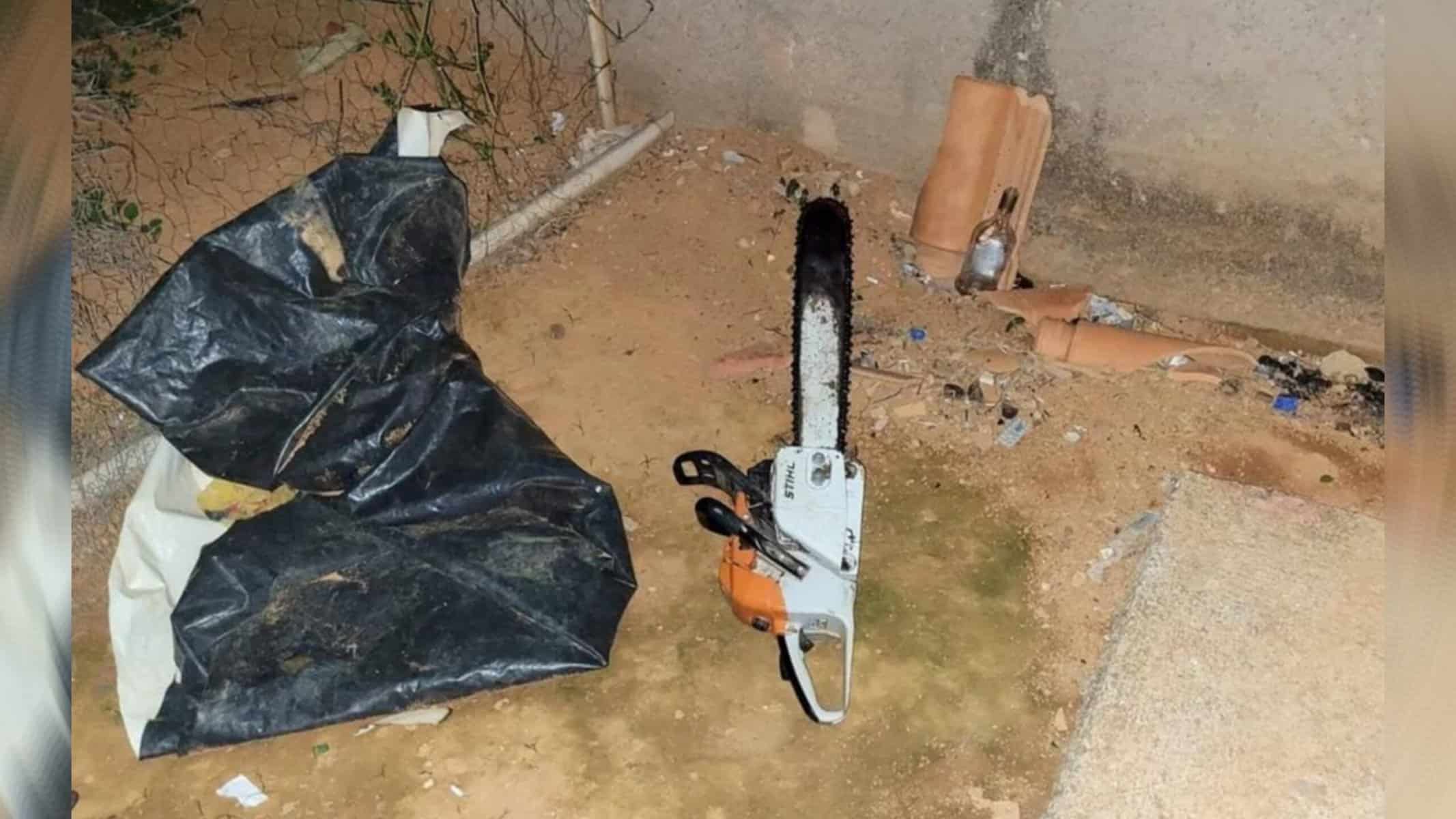 Motosserra foi usada na prática do crime — Foto: Divulgação / Polícia Civil