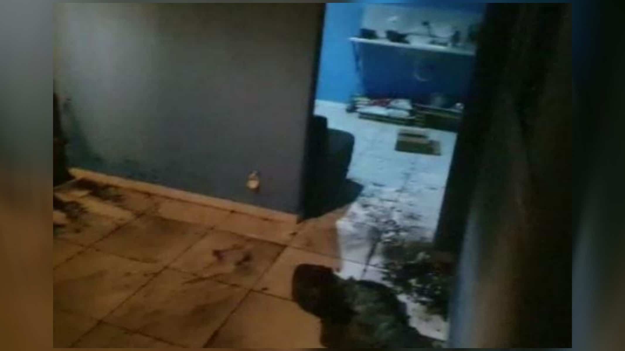 Crime aconteceu na residência em que o casal mora, na rua José Martiliano de Souza, no bairro Guanabara — Foto: PMMG/Divulgação