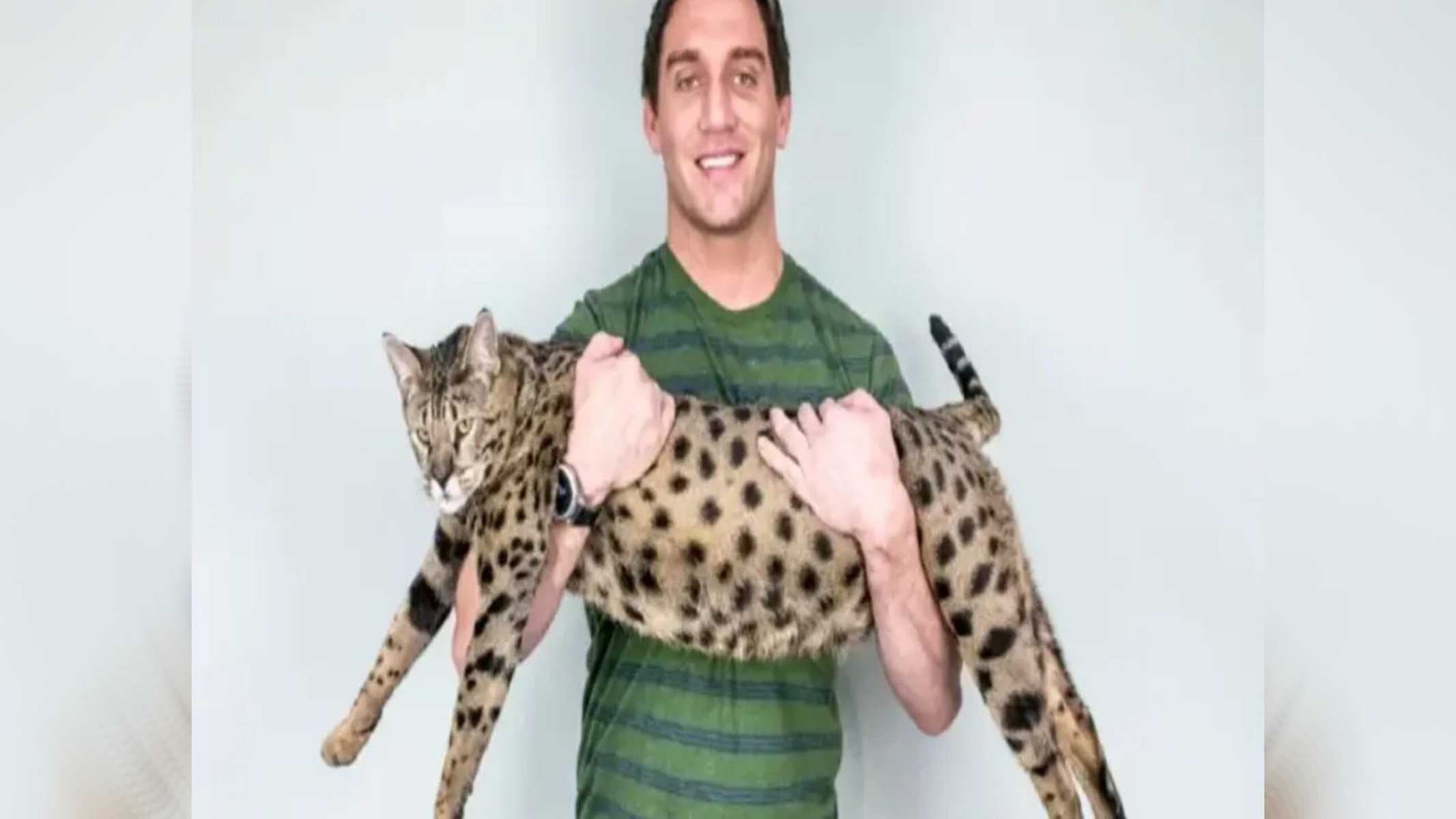 Foto: Divulgação/Guinness