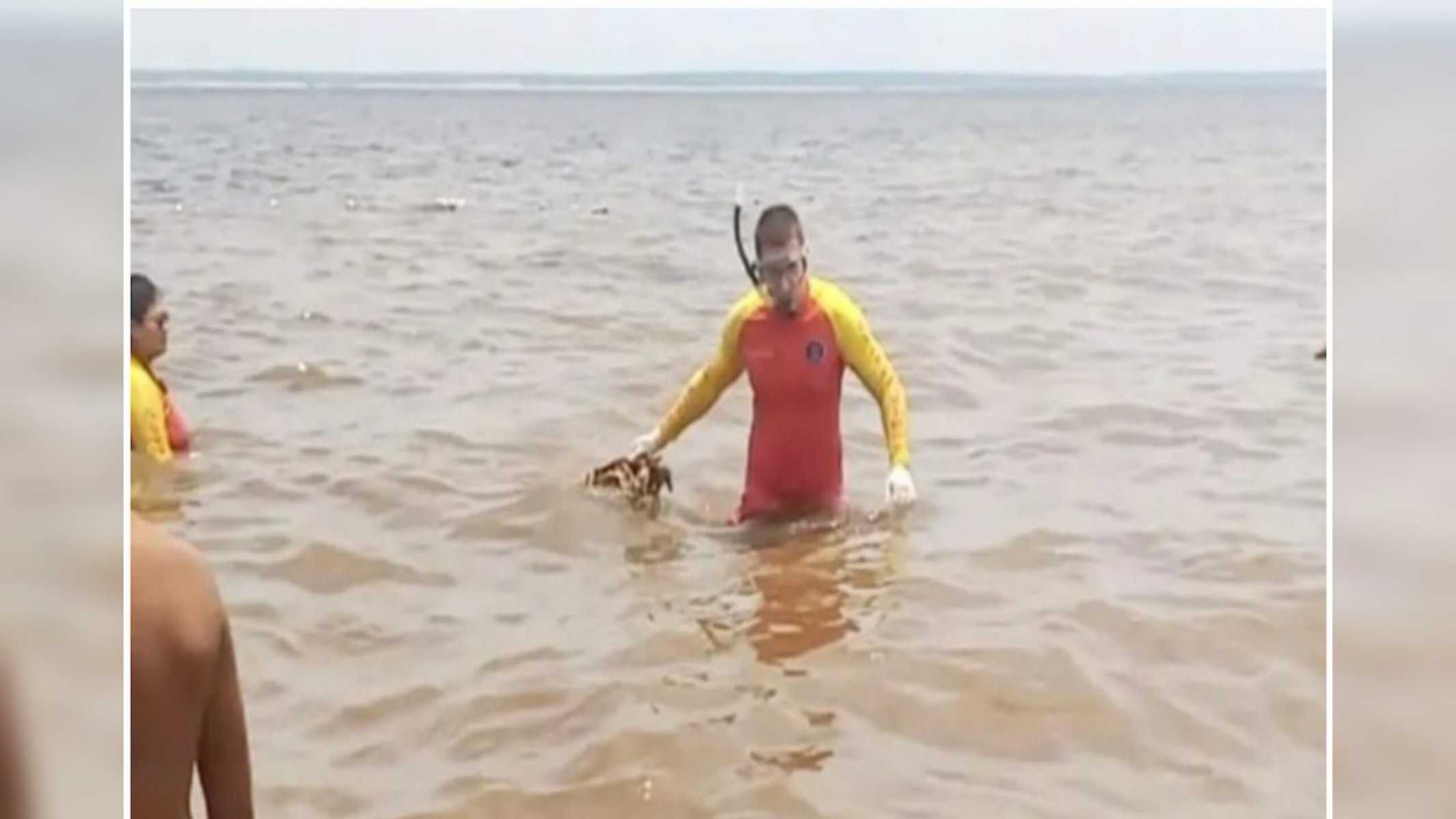 Picsart_22-10-11_19-30-34-188 Foto: reprodução