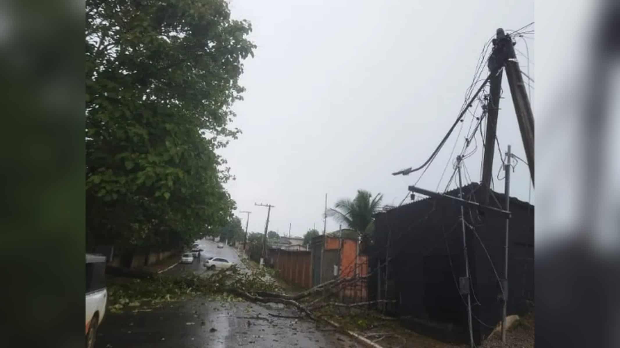 Várias ocorrências de queda de árvores registradas em Rio Branco — Foto: Arquivo pessoal