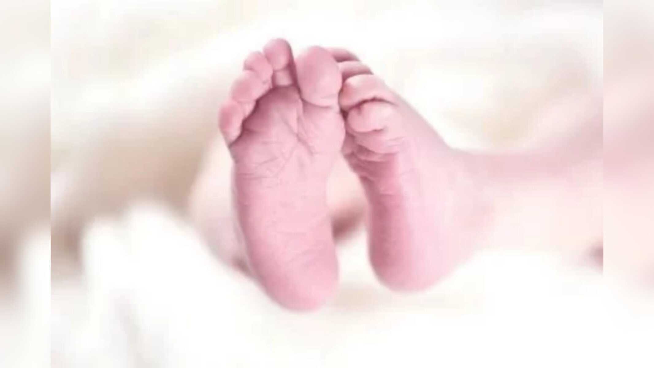 foto Ilustrativa Pixabay