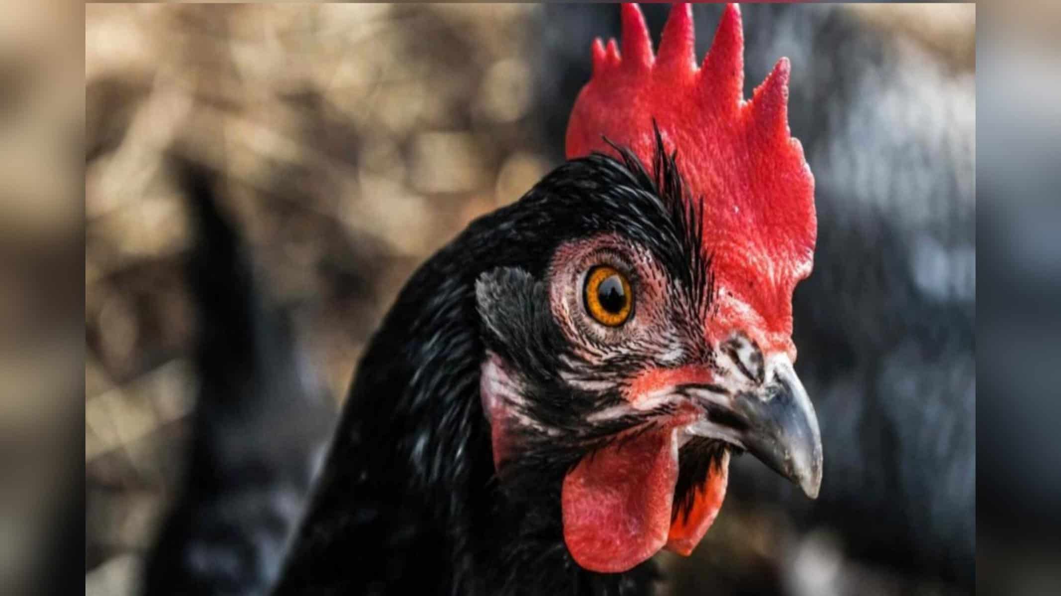 Caso foi parar na polícia. (Foto: Ilustrativa)