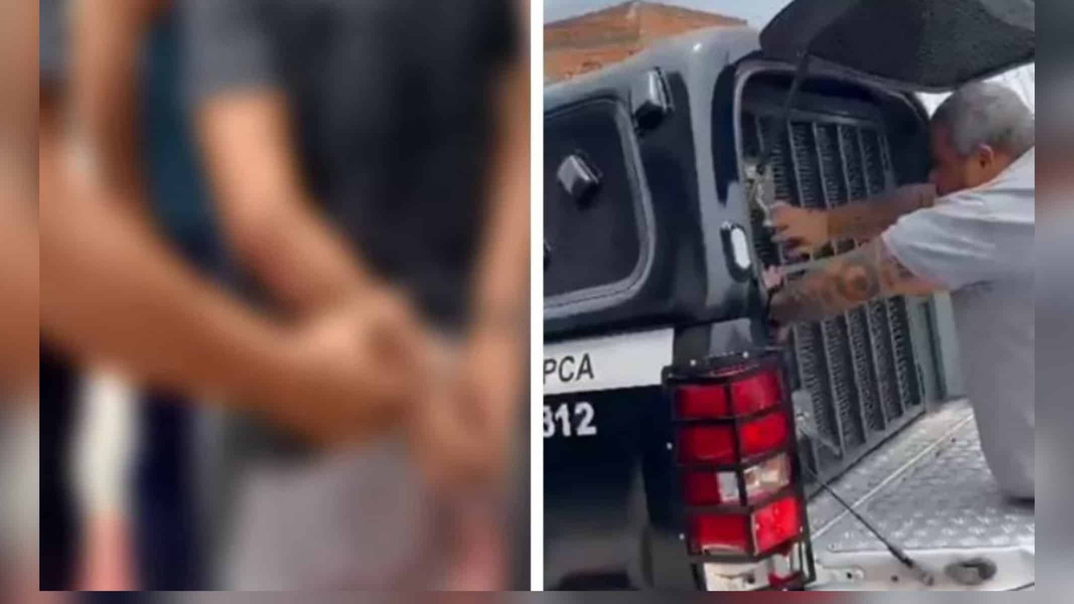 Picsart_22-10-27_18-12-15-102 Foto: Montagem D24am / Reprodução