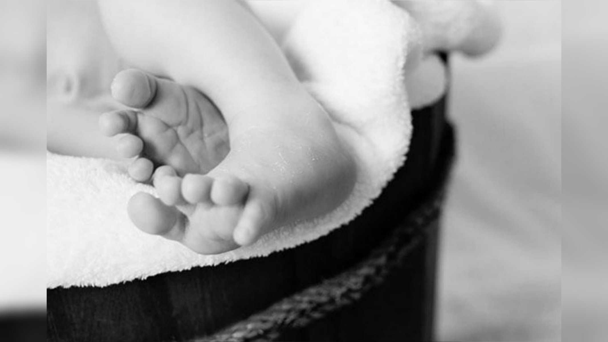 Picsart_22-10-28_17-36-29-919 Imagem Ilustrativa