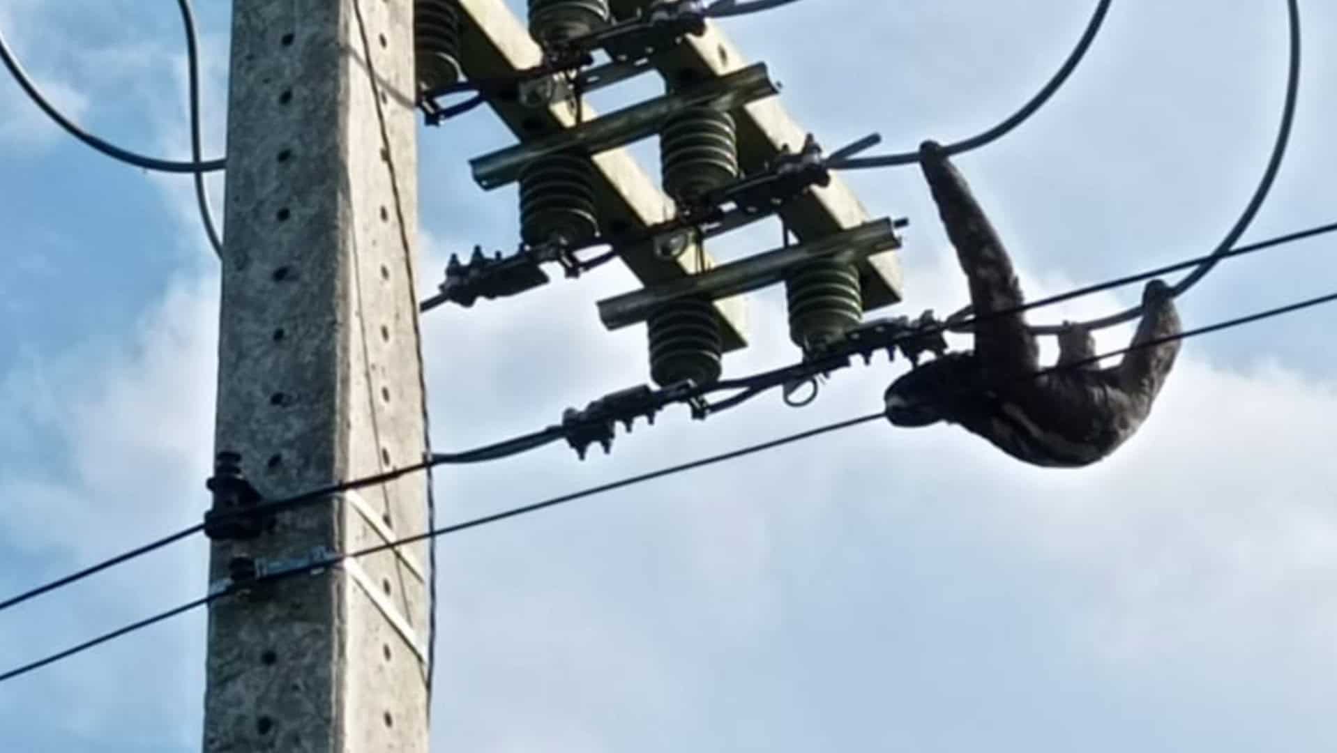 Picsart_22-10-31_11-14-23-477