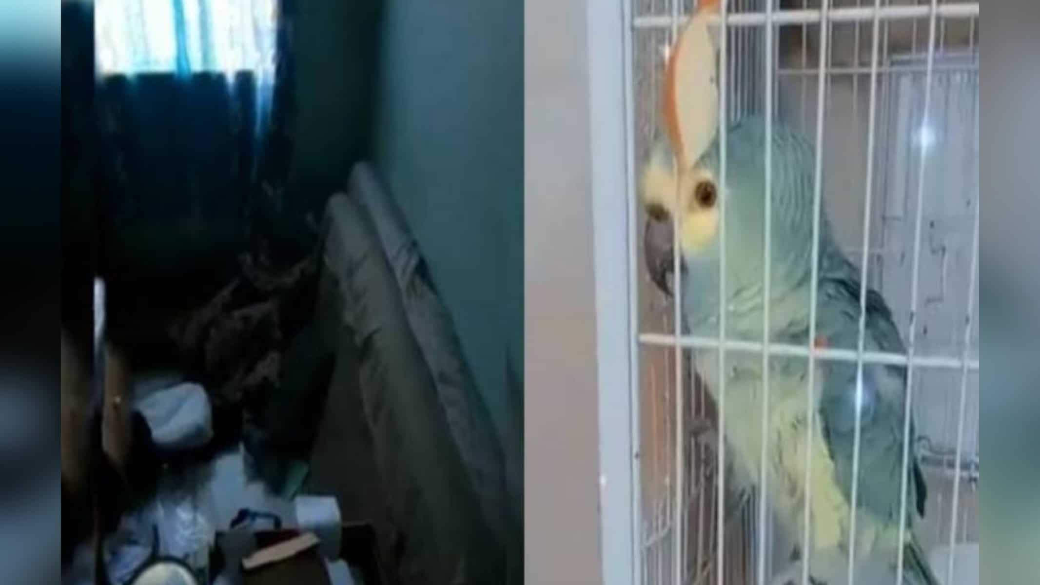 Vítimas encontraram casa revirada na zona sul de SP
REPRODUÇÃO