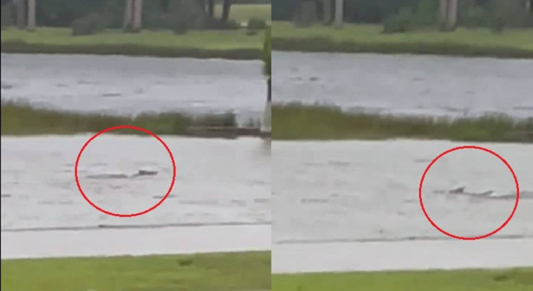 Screenshot_20221001-183554_Facebook