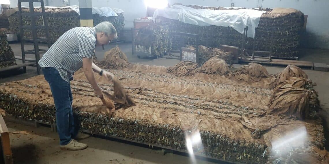 charutoAcre1-1140x570