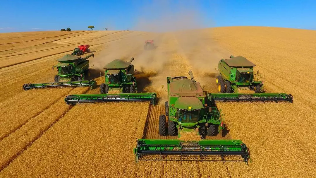colheita-de-soja-brasileira-na-lavoura