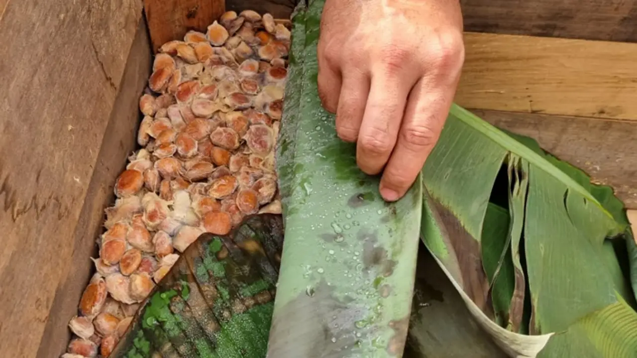 Agropecuaria1 Agropecuaria1