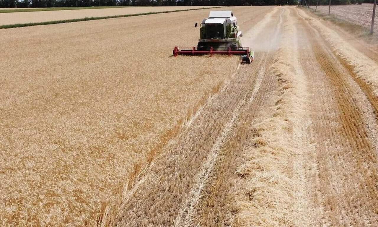 IMG-20221120-WA0042 IMG-20221120-WA0042