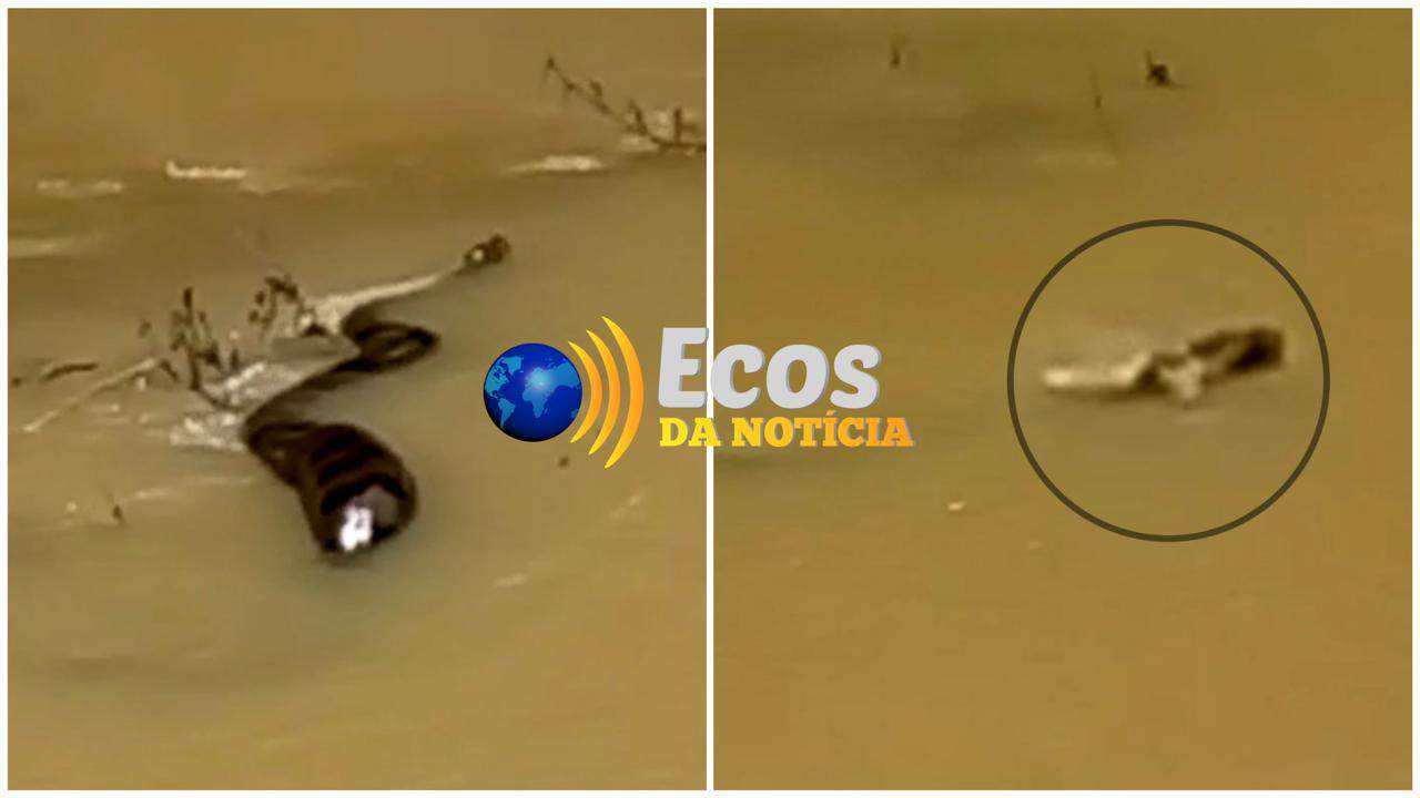 Foto: Ecos da Notícia