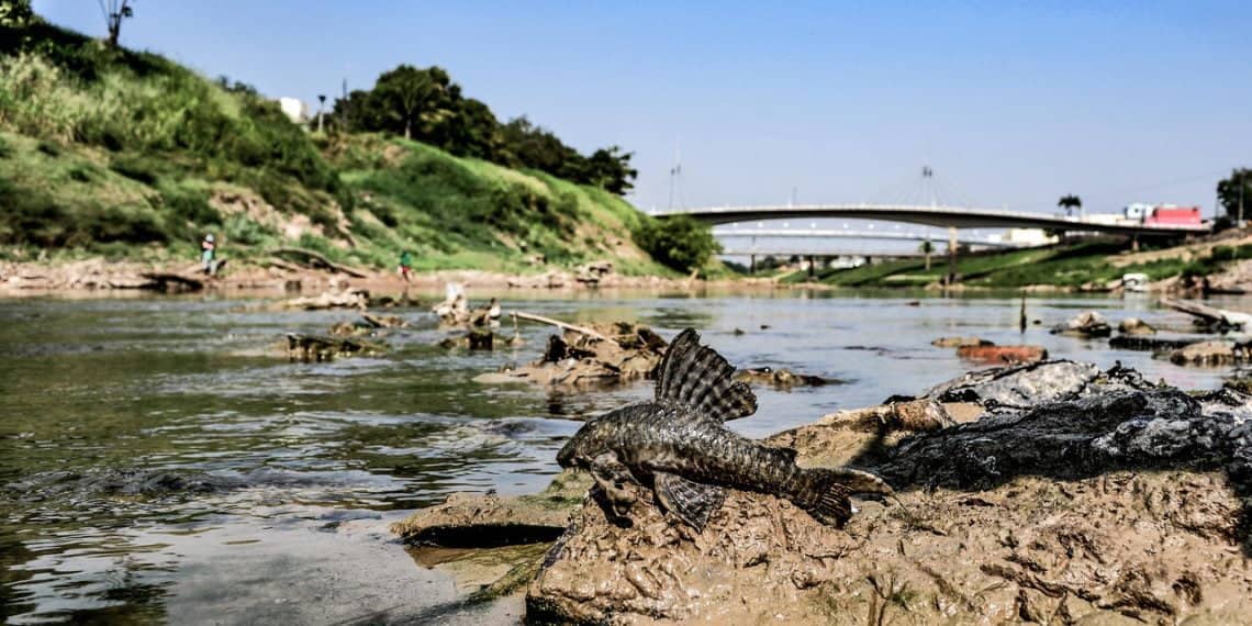 PSX_20221114_135539-1_Easy-Resize.com_-1140×570 (Foto: Juan Diaz/Arquivo pessoal)