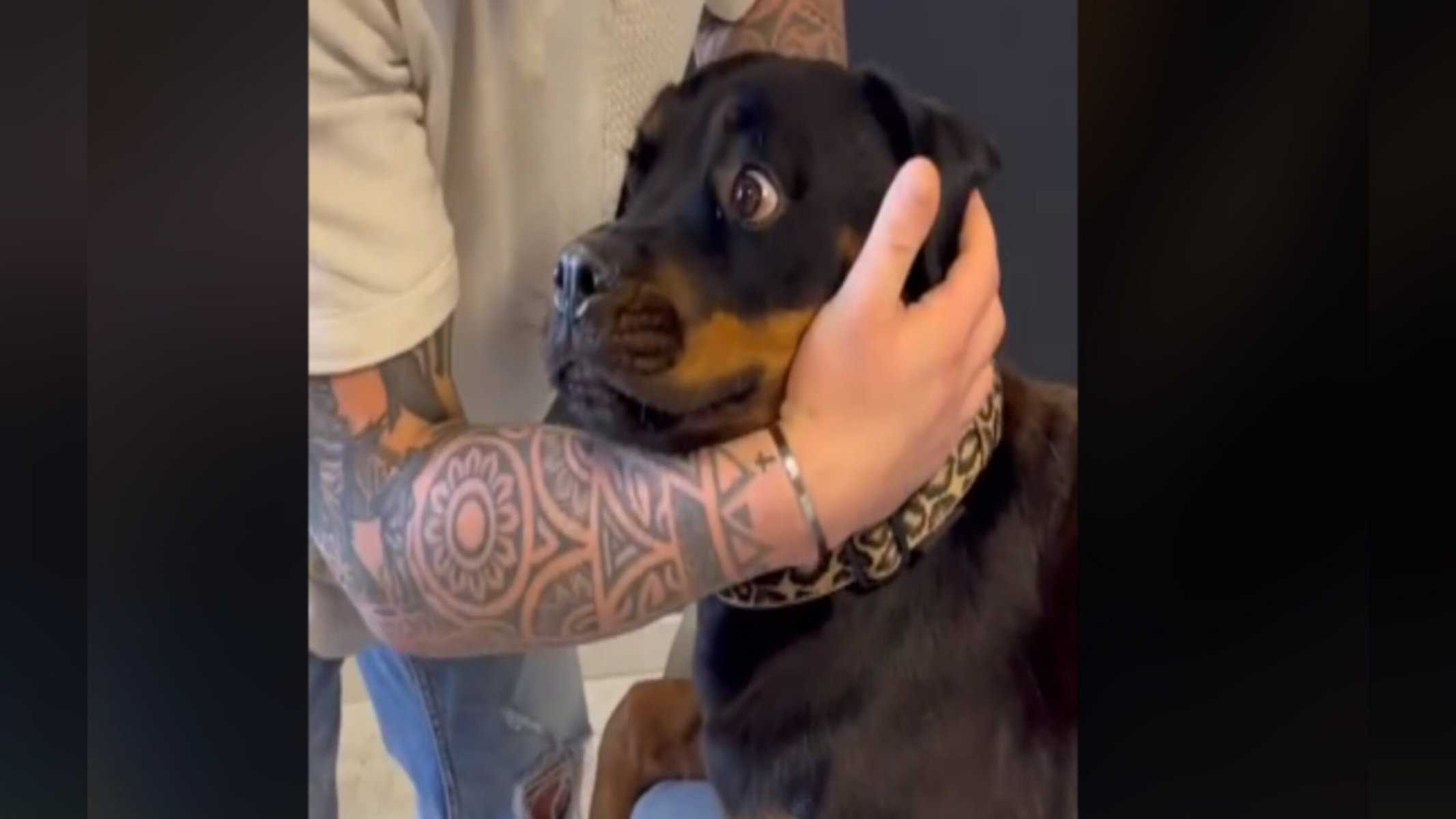 Foto: Reprodução / TikTok @boneshands2