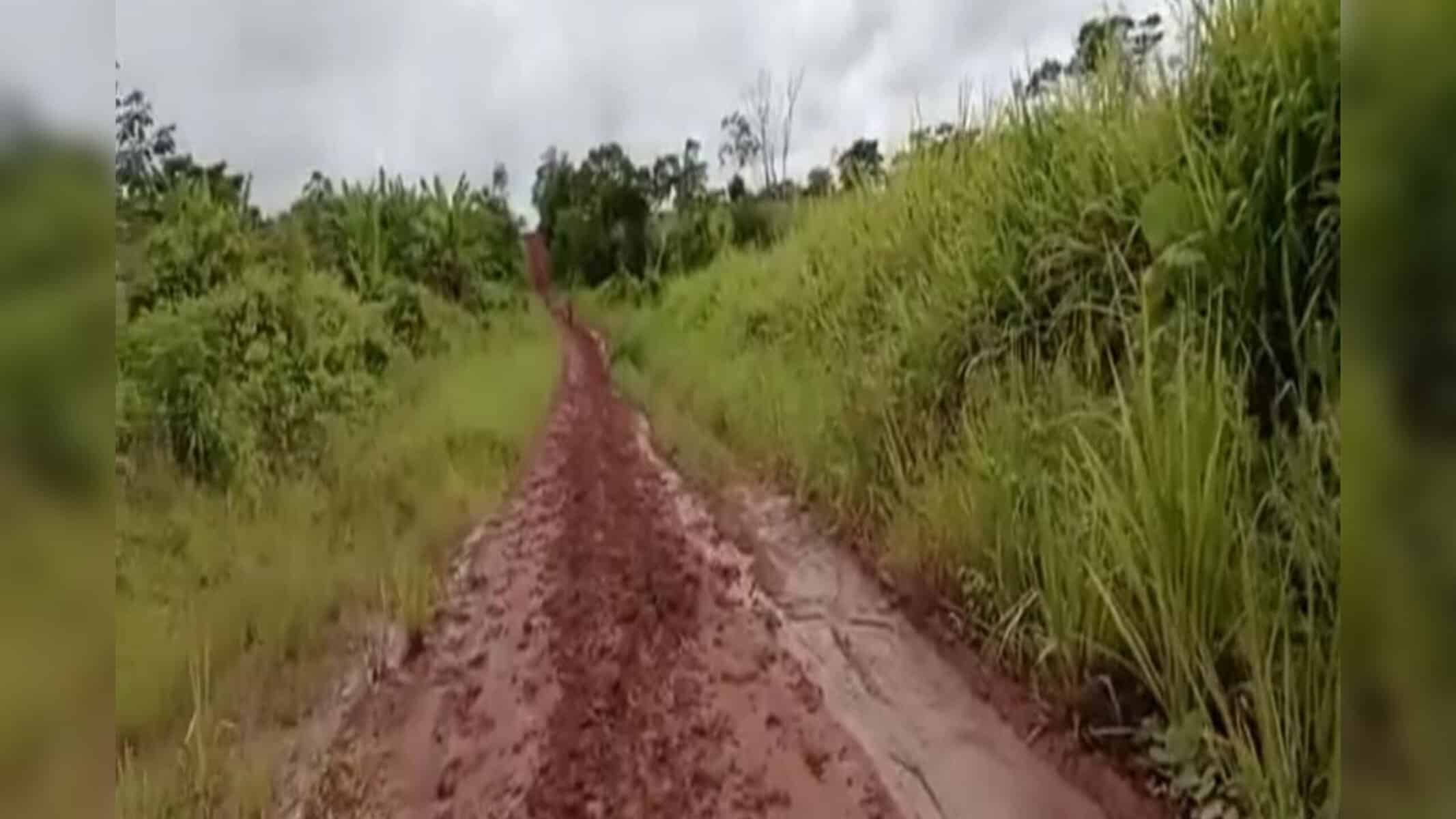 Foto: Reprodução
Otávio Damasceno