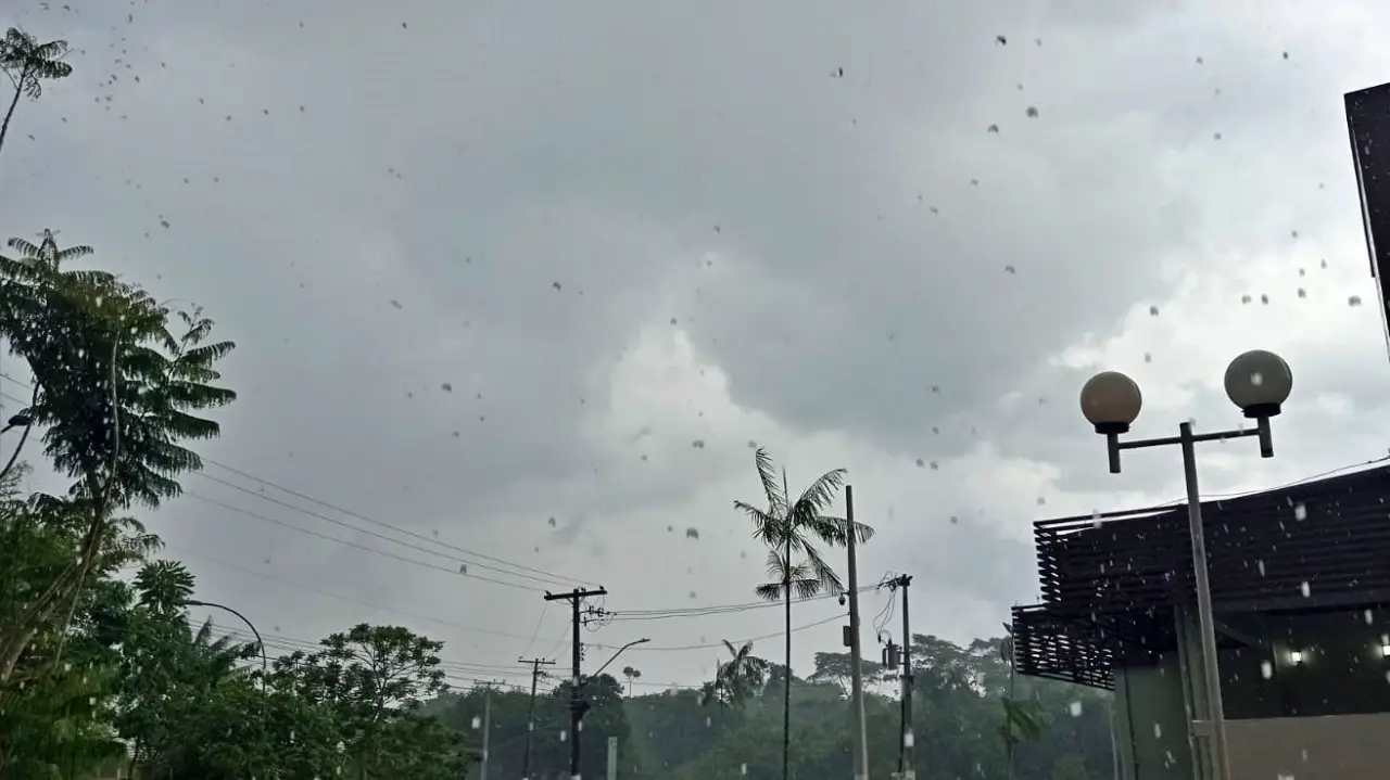 Tempo-Clima Tempo-Clima