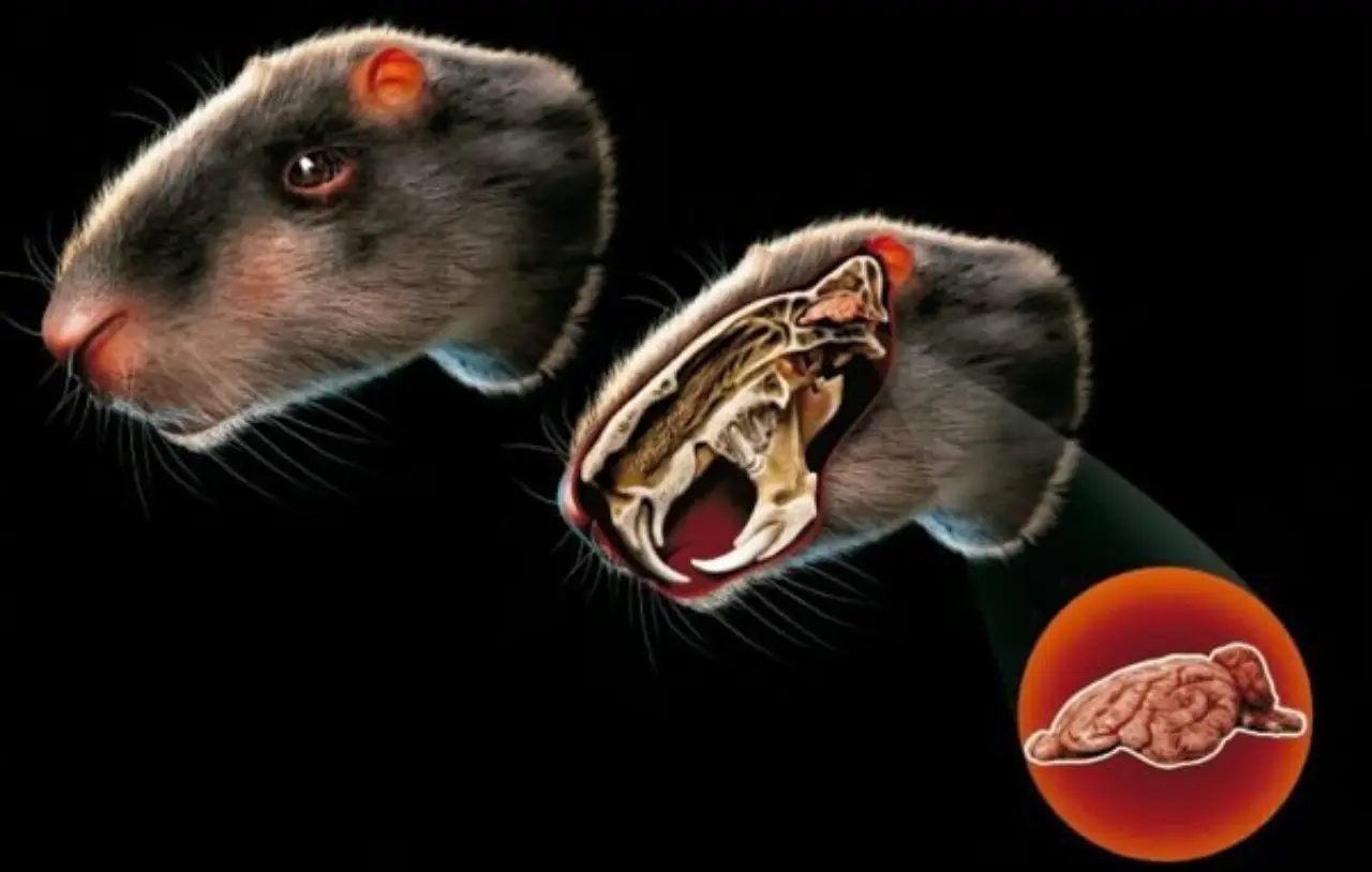 WhatsApp-Image-2022-11-09-at-12.17.53 WhatsApp-Image-2022-11-09-at-12.17.53