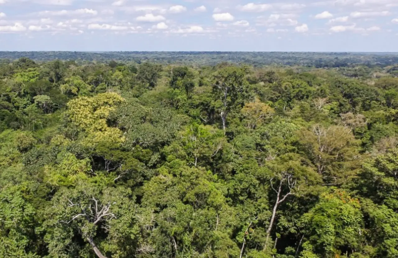 WhatsApp-Image-2022-11-28-at-08.30.41